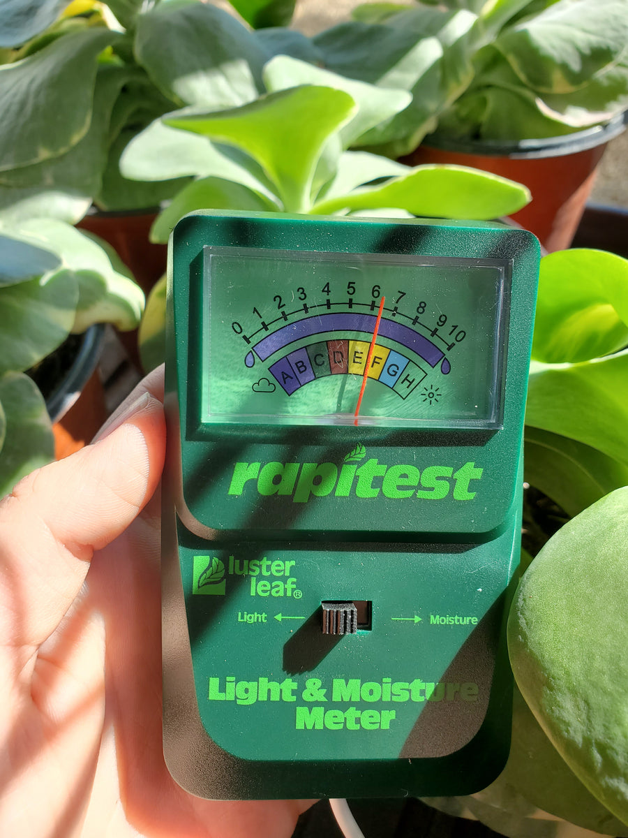 2 in 1 PH & Moisture Meter – Folia House