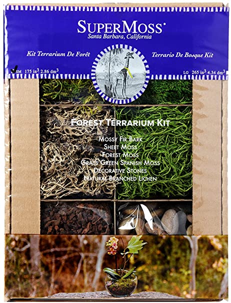 live moss terrarium, terrarium kit, diy terrarium kit, terrarium suppl –  NotJustMoss